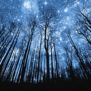 日本女人慢摇诱惑
